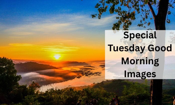 Special tuesday good morning images