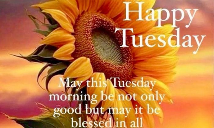 Special tuesday good morning images1