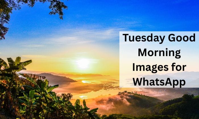 Tuesday good morning images for whatsapp