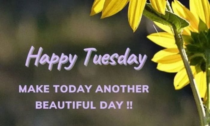 Tuesday good morning images for whatsapp2