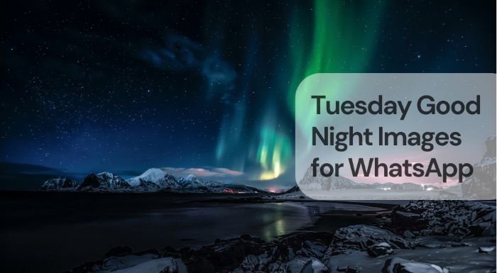 Tuesday good night images for whatsapp