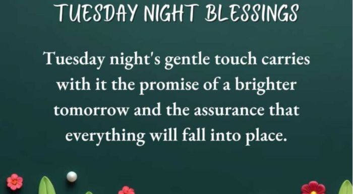Tuesday good night images for whatsapp2