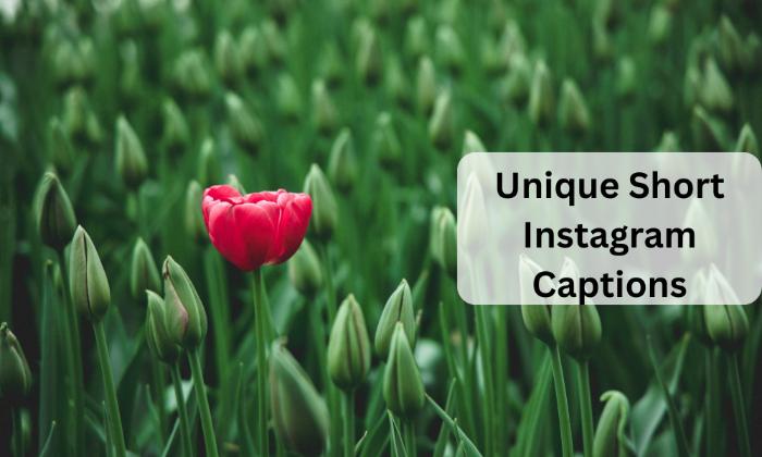 Unique short instagram captions