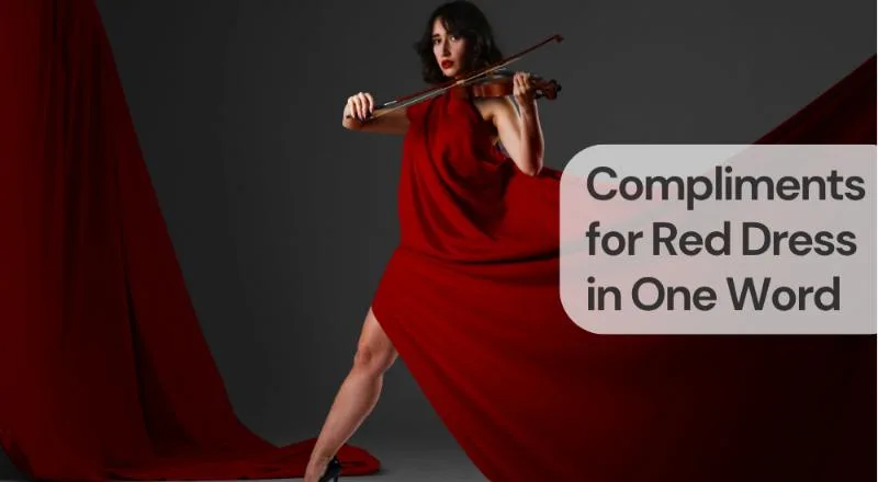 50+ Good Comments for Red Dress Outfit Posts  Trending Us
