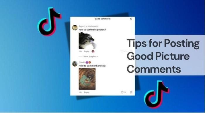 Tips for posting good picture comments