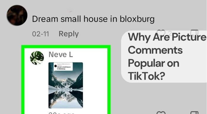 Why are picture comments popular on tiktok