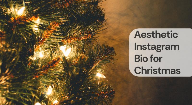 Aesthetic instagram bio for christmas
