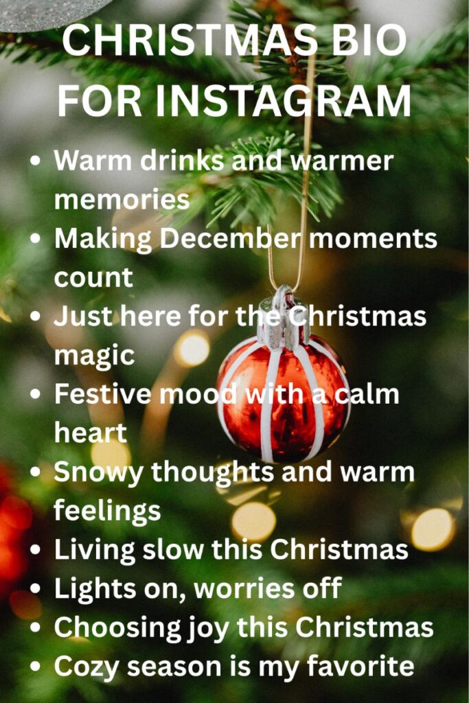 Best christmas bios for instagram