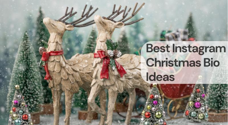 Best instagram christmas bio ideas