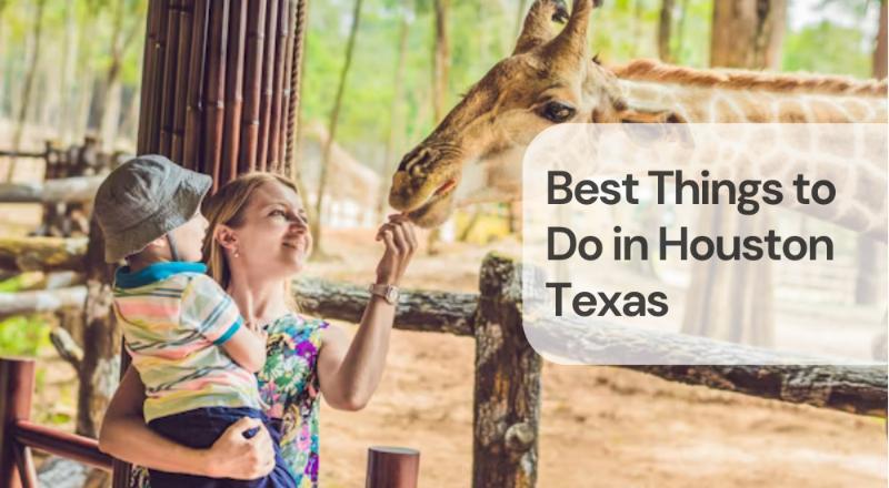 Best things to do in houston texas