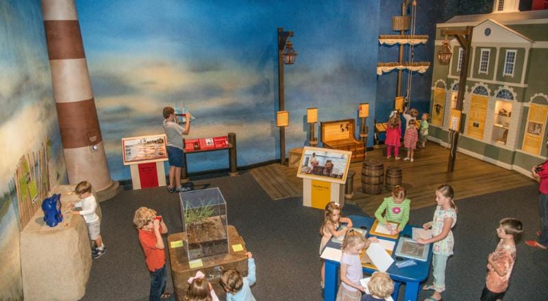 Childrens museum of the lowcountry Children’s museum of the lowcountry