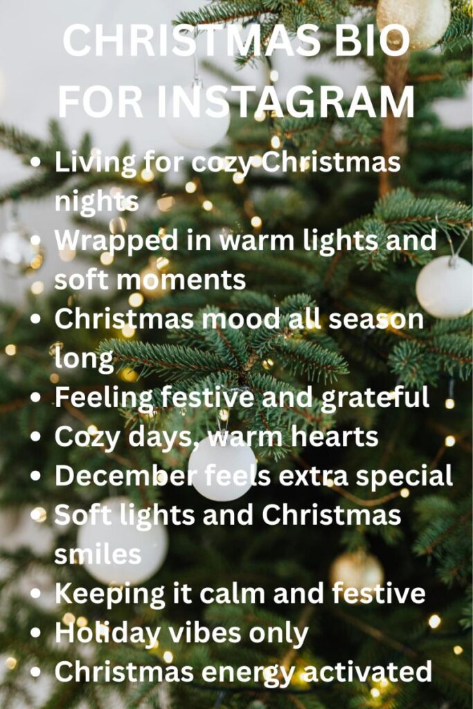 Christmas bio ideas on instagram