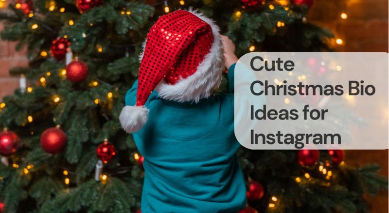 Cute christmas bio ideas for instagram