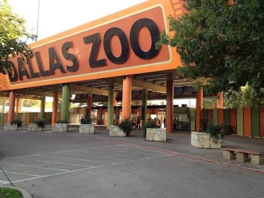 Dallas zoo