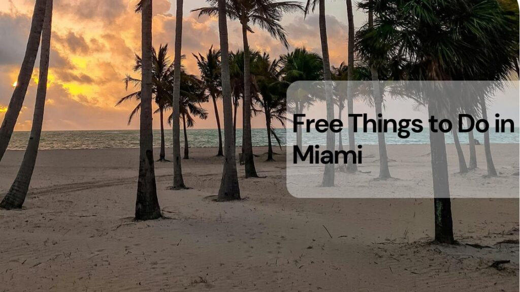 Free things to do in miami Free things to do in miami
