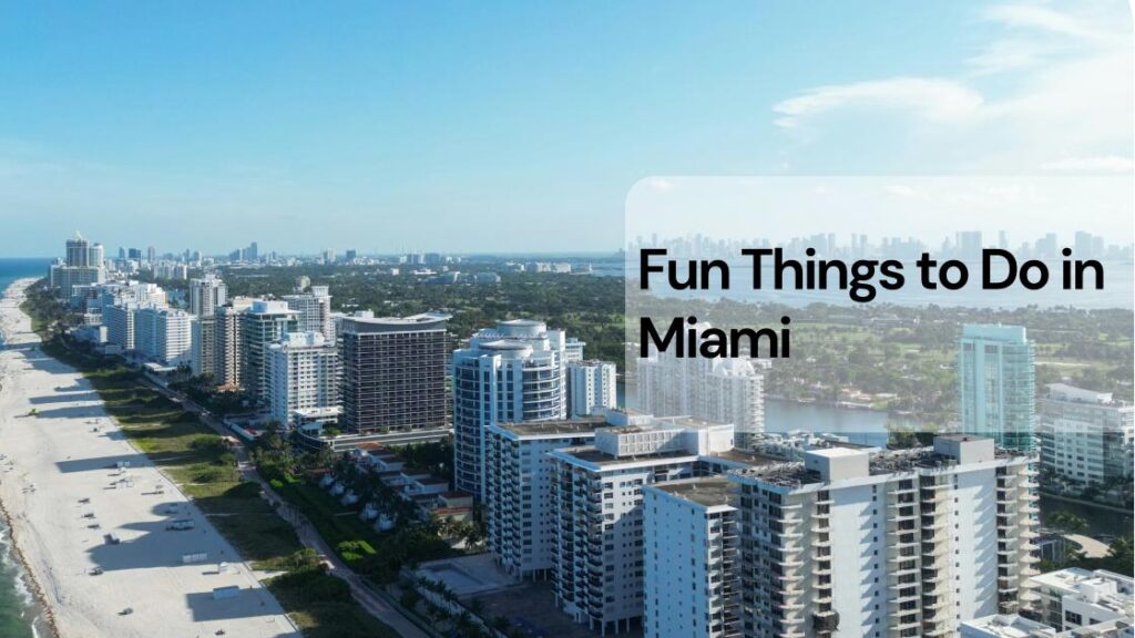 Fun things to do in miami Fun things to do in miami