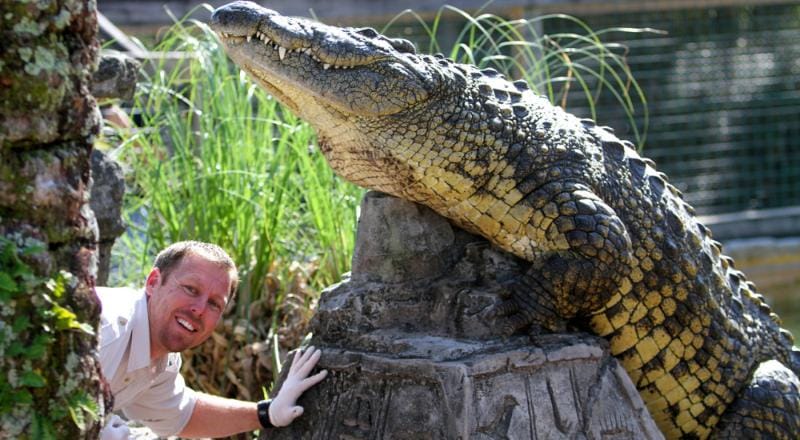Gatorland at a lower ticket price Gatorland at a lower ticket price