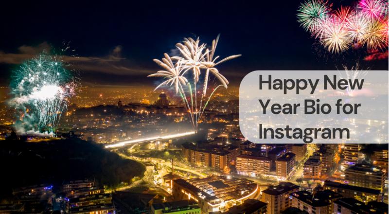 Happy new year bio for instagram Happy new year bio for instagram