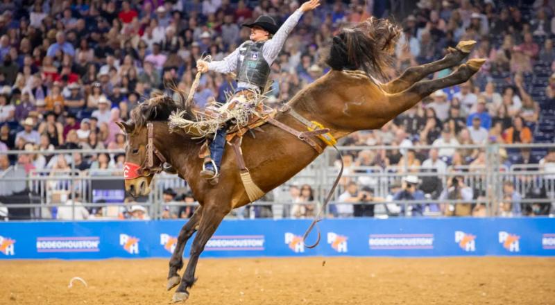 Houston livestock show and rodeo