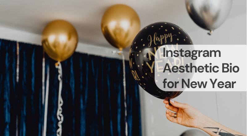 Instagram aesthetic bio for new year Instagram aesthetic bio for new year