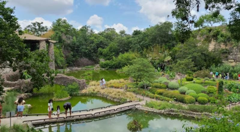 Japanese tea gardens