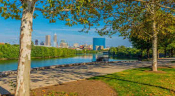 Local parks Local parks