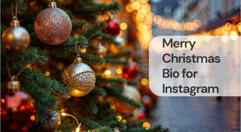 Merry christmas bio for instagram