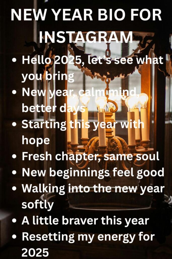 New year bio for instagram New year bio for instagram