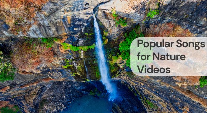 Popular songs for nature videos