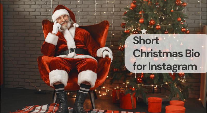 Short christmas bio for instagram