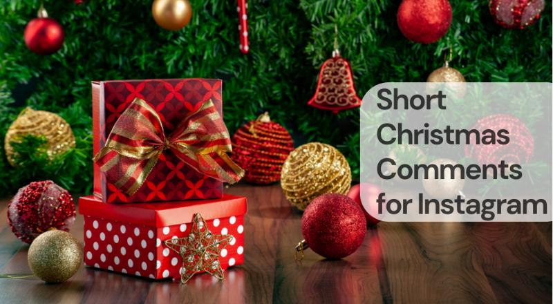 Short christmas comments for instagram