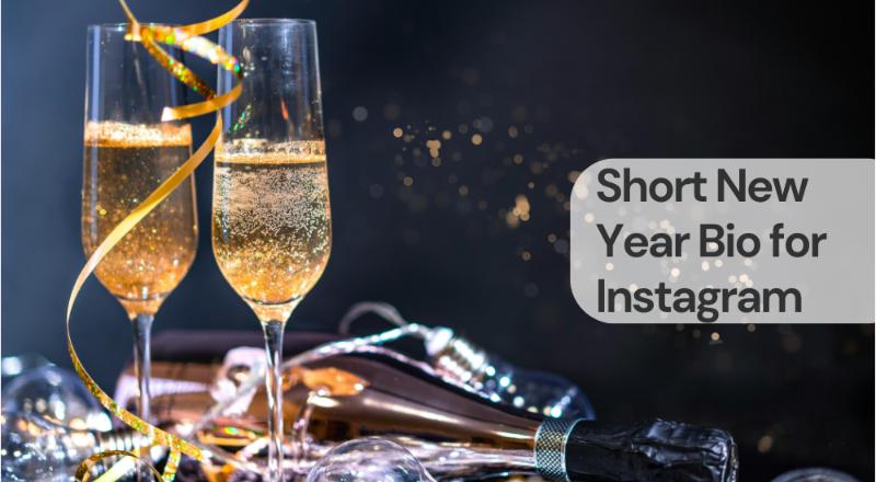 Short new year bio for instagram Short new year bio for instagram