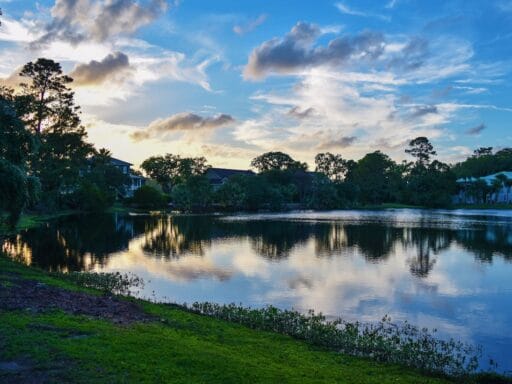 Things to do in savannah ga