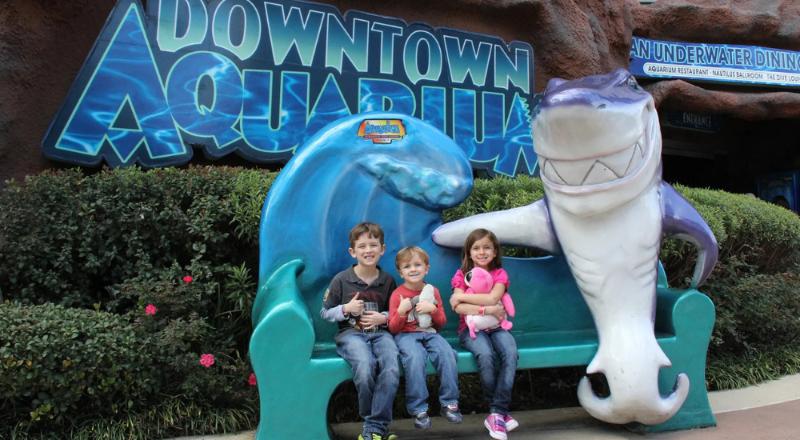 Time at the downtown aquarium