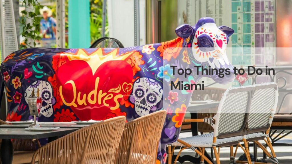 Top things to do in miami Top things to do in miami