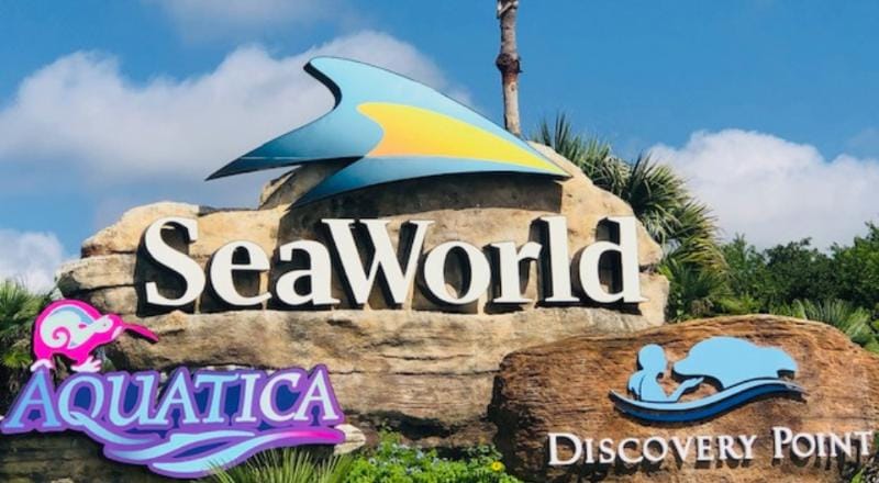 Visit seaworld san antonio