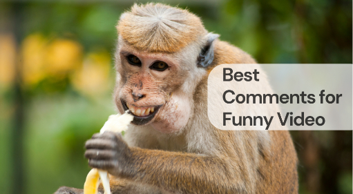 Best comments for funny video
