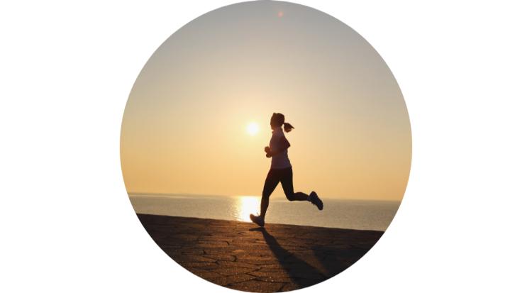 Best highlight cover1