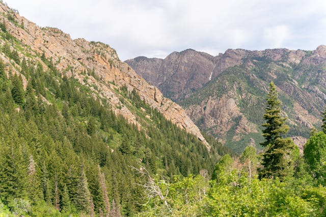 Big cottonwood canyon Big cottonwood canyon