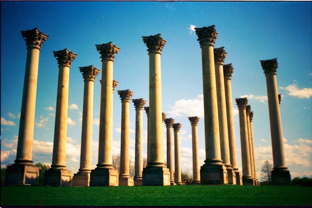 Explore the museum of natural history