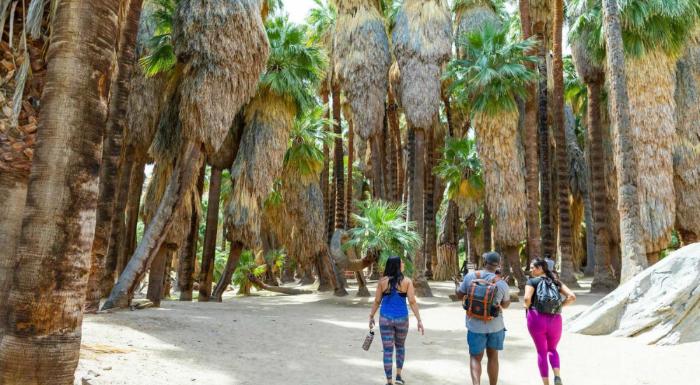 Go hiking in indian canyons