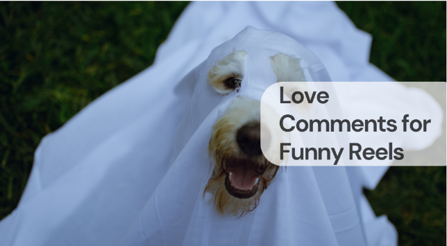 Love comments for funny reels