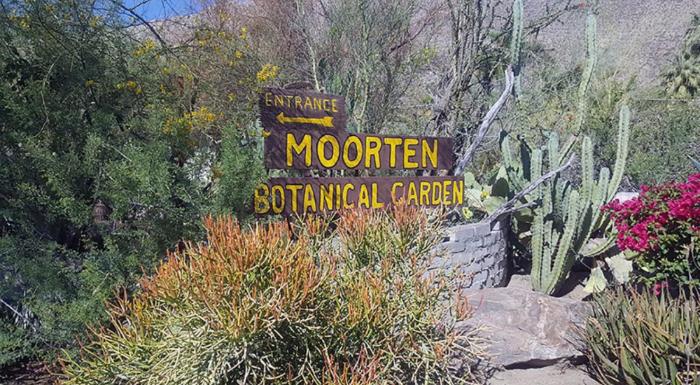 Moorten botanical garden