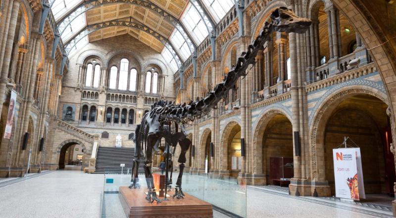 Natural history museum