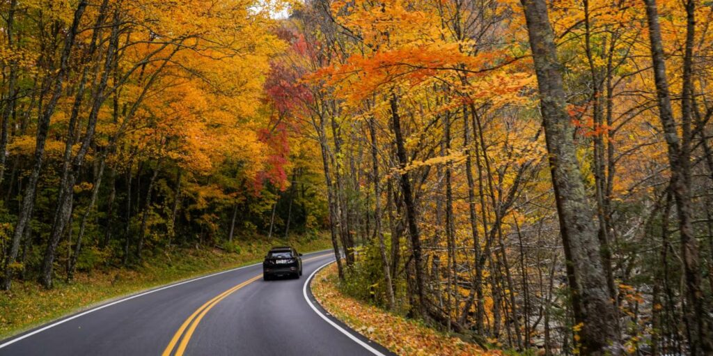 Scenic mountain drives