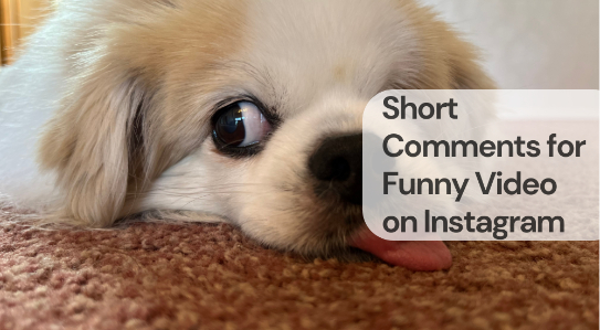 Short comments for funny video on instagram