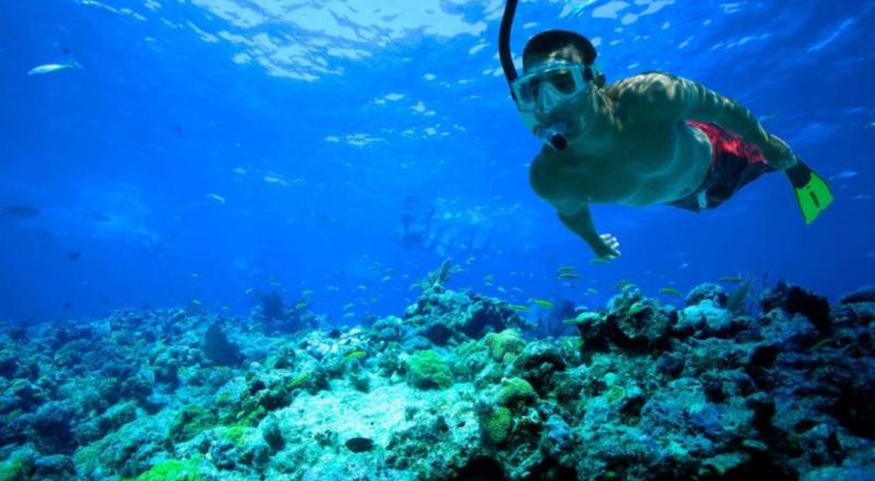 Snorkelling or kayaking