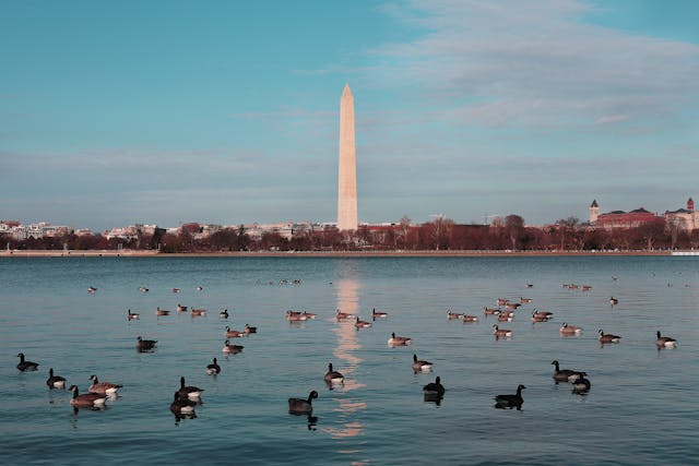 Visit the washington monument