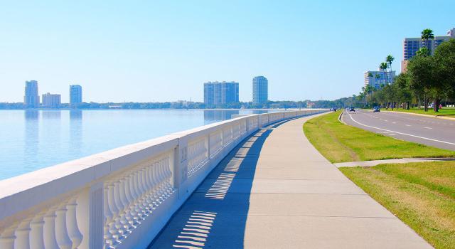 Walk bayshore boulevard