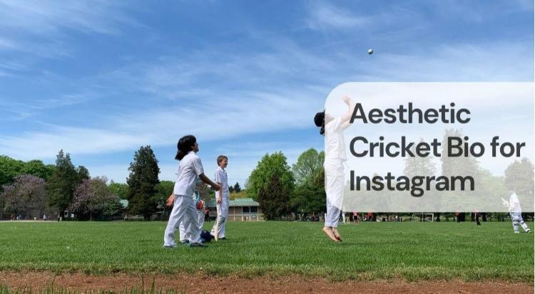 Aesthetic cricket bio for instagram Aesthetic cricket bio for instagram